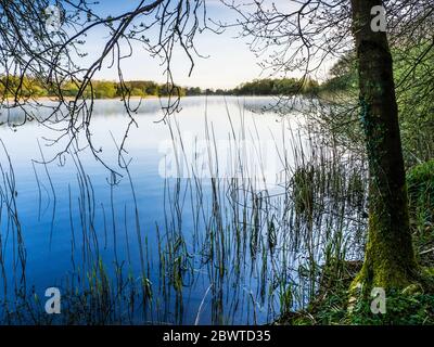 Un matin ensoleillé de printemps à Coate Water à Swindon. Banque D'Images