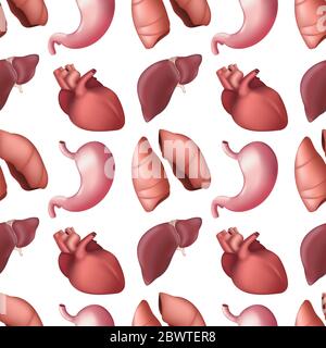 Schéma homogène des organes humains internes. Illustration vectorielle du foie, des poumons, du cœur et de l'estomac isolée sur fond blanc. Idéal pour imprimer sur du tex Illustration de Vecteur