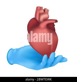 Concept réaliste d'organe médical avec une main dans un gant en caoutchouc bleu tenant une partie interne du corps du coeur humain. Illustration anatomique vectorielle du cir Illustration de Vecteur