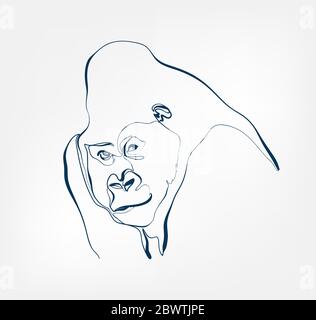 gorilla vecteur animal sauvage une ligne Illustration de Vecteur