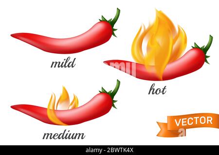 Gousse de piment rouge chaud naturel au feu de bois avec différentes quantités épicées, douces, moyennes et chaudes. Illustration vectorielle réaliste de l'iso jalapeno mexicain Illustration de Vecteur