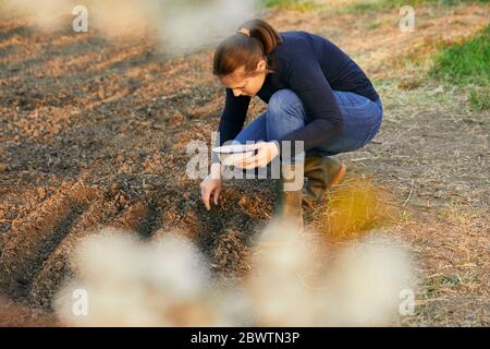 Femme qui se croupe en mettant les graines dans le sol à partir du bol Banque D'Images