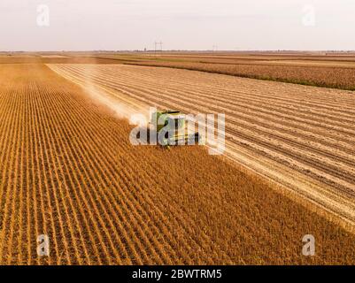 Vue aérienne de la moissonneuse-batteuse sur un champ de soja Banque D'Images