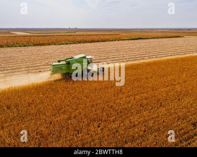 Vue aérienne de la moissonneuse-batteuse sur un champ de soja Banque D'Images