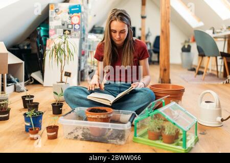 Jeune femme lisant un livre à côté des plantes sur parquet Banque D'Images