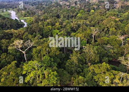 République centrafricaine, vue aérienne de la jungle dense de la réserve spéciale de Dzanga-Sangha Banque D'Images