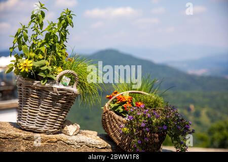 Un panier de fleurs au village de pèlerinage de Santa Maria del Monte sur Sacro Monte di Varese, site du patrimoine culturel mondial de l'UNESCO, Santa Maria del Mo Banque D'Images