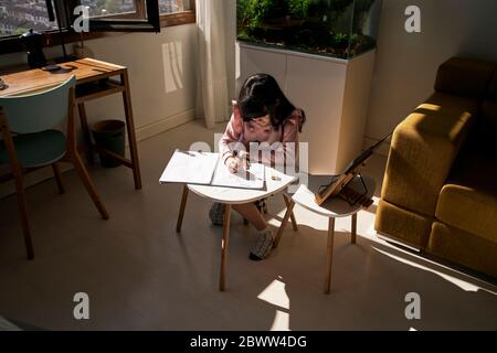 Fille faisant ses devoirs dans le salon Banque D'Images