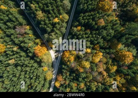 Allemagne, Bade-Wurtemberg, Heidenheim an der Brenz, Drone vue sur la route à fourche dans la forêt d'automne Banque D'Images