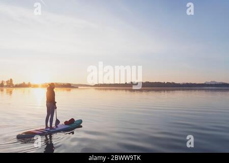 Femme debout à bord de sup dans la matinée sur un lac, Allemagne Banque D'Images