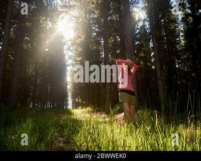 Femme sur une verrière de forêt en contre-jour, Swellendam, Afrique du Sud Banque D'Images