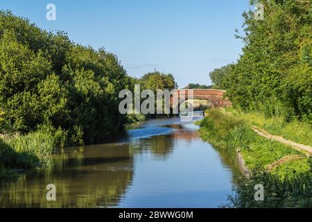 Vue le long du canal Kennet et Avon avec le pont 99 ou également appelé le pont à nulle part en arrière-plan, Angleterre, Royaume-Uni Banque D'Images