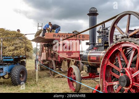 La machine de battage Ransomes est équipée d'un moteur à vapeur de traction pour la récolte du blé et de la paille Banque D'Images