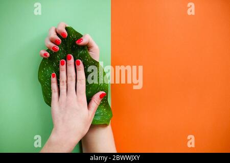 Vue de dessus de la femelle anonyme avec feuille de plante verte démontrant des ongles peints lumineux sur fond coloré Banque D'Images