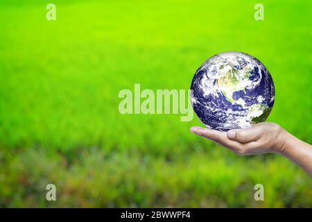 World in Hand et Green Field Background avec espace pour texte, adapté au concept d'entreprise et d'environnement. Éléments de cette image fournis par la NASA. Banque D'Images