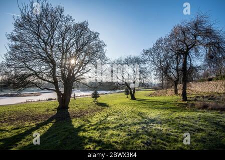 Auchinlea Park East Glasgow en hiver. Banque D'Images