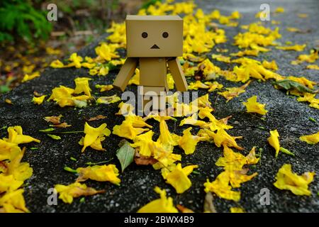 BANGKOK, THAÏLANDE - 03 NOVEMBRE 2019 : Danboard anime figure marchant dans le parc avec des fleurs jaunes sur le sol. C'est le célèbre manga de comédie japonaise Banque D'Images