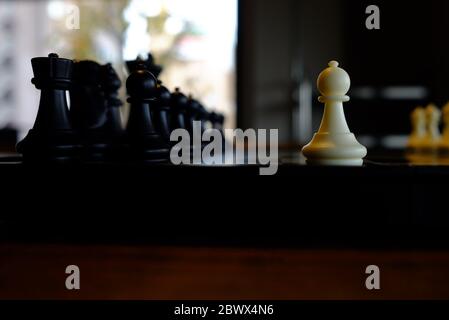 Paon blanc face aux pièces noires. Banque D'Images