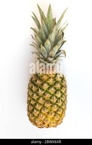 Ananas entier isolé sur fond blanc Banque D'Images