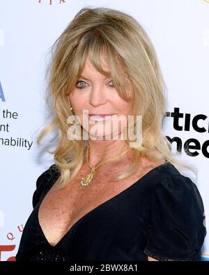 24 mars 2016, Beverly Hills, Californie, États-Unis: Goldie Hawn participe à la célébration des champions de l'avenir de notre planète à l'Institut de l'environnement et de la durabilité de l'UCLA. (Image crédit : © Billy Bennight/ZUMA Wire) Banque D'Images