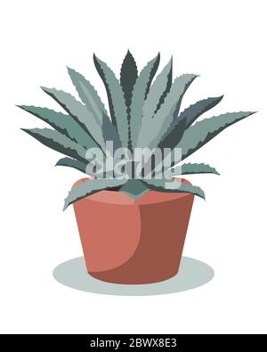 Plante d'agave bleue dans un pot de fleur, illustration vectorielle Illustration de Vecteur