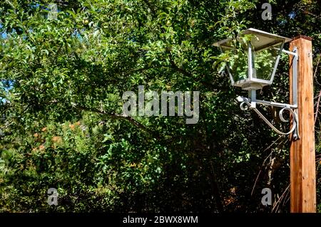 Lampadaire sous un arbre dans un parc. Banque D'Images
