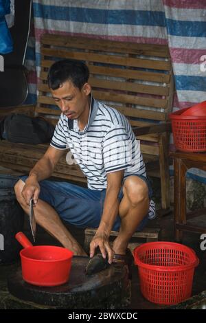 Yangshuo, Chine - août 2019 : un ouvrier chinois épluchant les petits poissons sur le marché de la rue à Yangshuo, province de Guangxi Banque D'Images