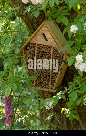 une vue rapprochée d'une maison de insectes qui a été faite par l'homme pour encourager les insectes et les insectes à nicher Banque D'Images