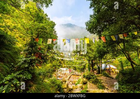 Dalhousie Himachal Pradesh - une vue abstraite de la beauté naturelle autour de Dalhousie, Himachal Pradesh, Inde, Asie. La photographie de la nature en Inde. Banque D'Images