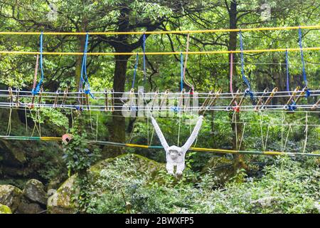 Dalhousie Himachal Pradesh - une vue abstraite de la beauté naturelle autour de Dalhousie, Himachal Pradesh, Inde, Asie. La photographie de la nature en Inde. Banque D'Images