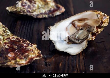 Huître brute avec des coquilles fermées et ouvertes sur une table en bois. Gros plan. Mise au point sélective. Banque D'Images