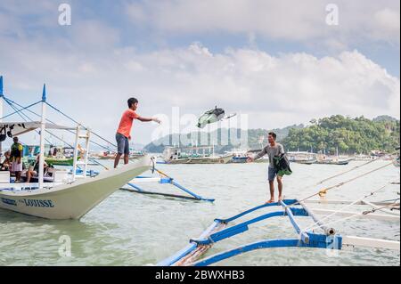 Les capitaines de bateau et leur aide ont mis en place les bateaux à longue queue qui emprennent les touristes vers les lagons, les plages et les îles autour d'El Nido, Palawan, le pH Banque D'Images