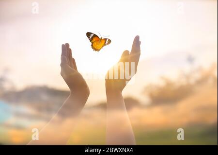 La fille libère le papillon du moment concept de liberté Banque D'Images