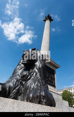 Nelson's Column et Landseer Lion, Trafalgar Square, Londres, Royaume-Uni Banque D'Images