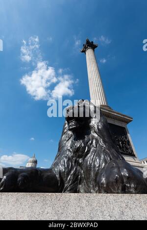 Nelson's Column et Landseer Lion, Trafalgar Square, Londres, Royaume-Uni Banque D'Images