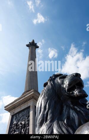 Nelson's Column et Landseer Lion, Trafalgar Square, Londres, Royaume-Uni Banque D'Images