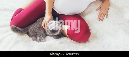 Une femme enceinte avec un chat est au lit. Foyer sélectif. Animal. Banque D'Images