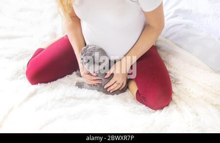 Une femme enceinte avec un chat est au lit. Foyer sélectif. Animal. Banque D'Images