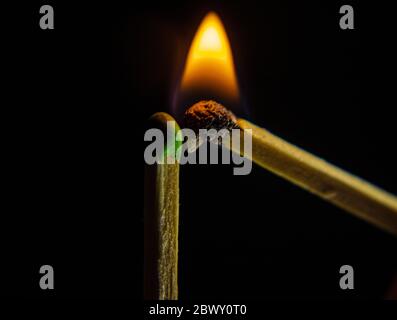 Un match en bois avec une flamme Eclairage un match en bois Sur un arrière-plan noir Banque D'Images