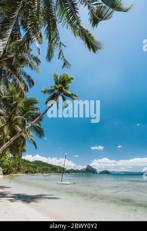 Palmiers de Corong Corong plage avec des bateaux traditionnels et ciel bleu à El Nido, Palawan île, Philippines. Vue verticale. Banque D'Images