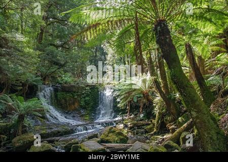 Horseshoe Falls trois chutes suivent le parc national de Mount Field Tasmanie Australie Banque D'Images