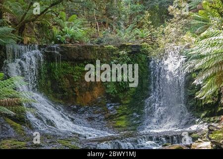 Horseshoe Falls trois chutes suivent le parc national de Mount Field Tasmanie Australie Banque D'Images