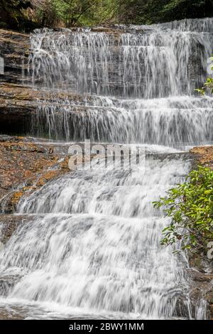 Parc national de Mount Field des chutes Lady Barron Tasmanie Australie Banque D'Images