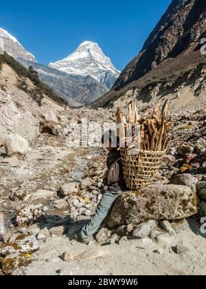 Népal. Partez à Mera Peak. Un portier très chargé fait une pause sur le sentier de randonnée le long de la roche parsemée d'Arun et de la vallée de Hinka avec Peak 43 qui fournit le drame visuel. Banque D'Images