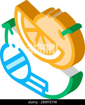 Médicaments et suppléments de fruits Isométrique illustration vectorielle Illustration de Vecteur