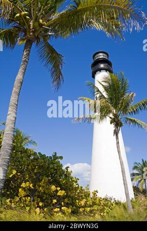 Le phare de Cape Florida, parc national Bill Baggs, Key Biscayne, Miami, Floride, USA Banque D'Images