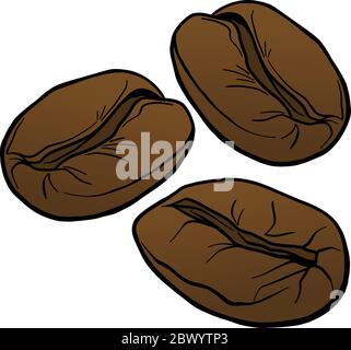 Grains de café - UNE illustration de dessin animé de grains de café. Illustration de Vecteur
