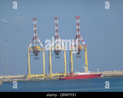 Muscat, la capitale portuaire d'Oman, est située sur le golfe d'Oman, entouré de montagnes et de désert. Oman, officiellement le Sultanat d'Oman, est un pays situé sur la côte sud-est de la péninsule arabe en Asie occidentale. Avec son histoire remontant à l'antiquité, il mélange des gratte-ciels et des centres commerciaux haut de gamme avec des sites au sommet de la falaise tels que les forts portugais du XVIe siècle, Al Jalali et Mirani, qui se dresse au-dessus du port de Muscat. Banque D'Images