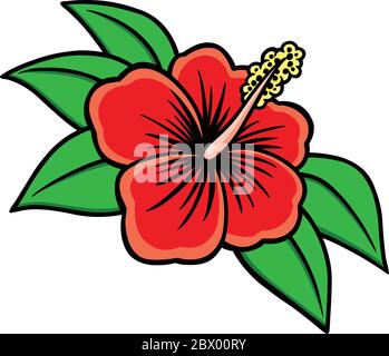 Hibiscus- une illustration d'une fleur d'Hibiscus. Illustration de Vecteur