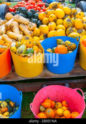 Fruits et légumes frais et sains dans des seaux sur remorque sur le marché local des agriculteurs du pays disponible à la vente. Banque D'Images